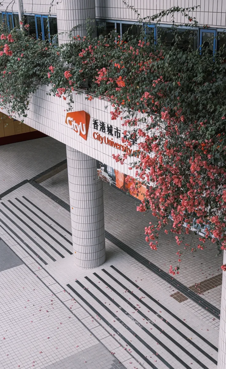香港学习生活场景